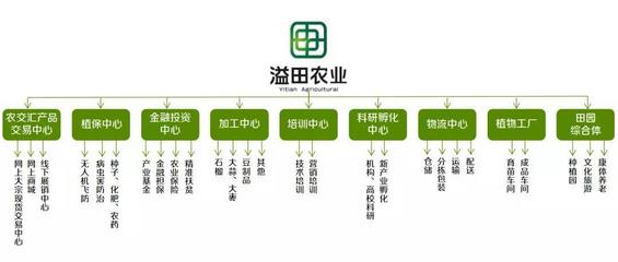 溢田農(nóng)業(yè) 現(xiàn)代供應(yīng)鏈管理與財(cái)務(wù)咨詢雙輪驅(qū)動(dòng)的創(chuàng)新實(shí)踐